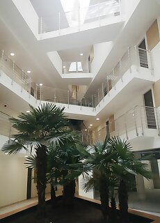 New Modern Lilie Apartment Heviz