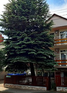 Rideg Apartment Heviz