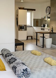 Loft Apartment Pecs