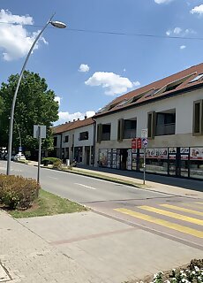 Four Seasons Downtown Apartment Siofok