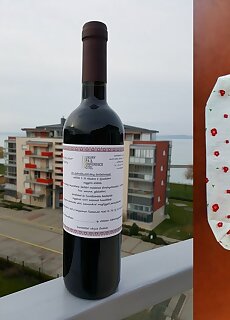 Luxury Apartment Siofok