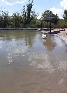 Sziget Lak Strandkozeli Nyaralo Abrahamhegy