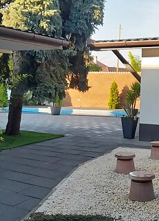Koren Villa Akaszto