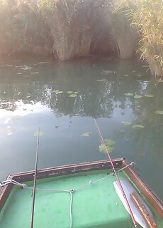 Tornai Nyaralohaz Badacsony