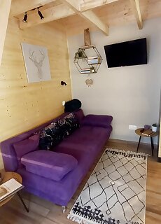 Fahaz A Fenyok Alatt Borostyankut Wellness Home Ii. Bakonybel