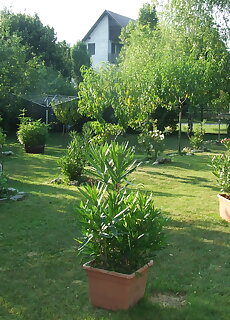Pordan Haz 2. Balatonakali