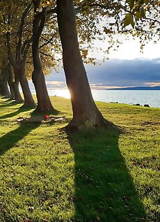 Bb Haz Balatonboglar
