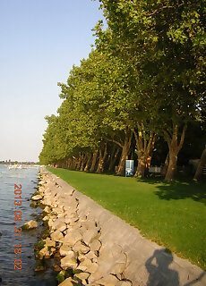 Rozsa Nyaralohaz Balatonboglar
