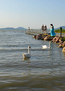 Maurer Szallashelyek Balatonfenyves