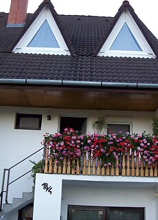 Kovirozsa Udulohaz Balatonfoldvar