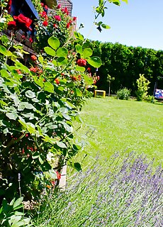 Rozsahaz Balatonfured