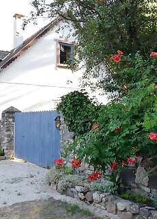 Henye Vintage Home A Kali Medenceben Balatonhenye