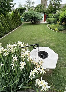 Bonsai Garden Balatonkenese