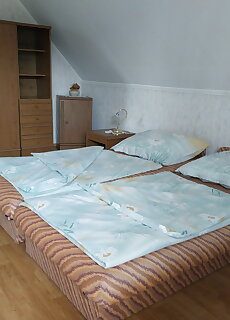 Csaladi Nyaralohaz Balatonmariafurdo