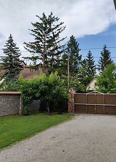 Vilma Villa Balatonmariafurdo