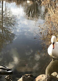 Sophie Haz Balatonmariafurdo