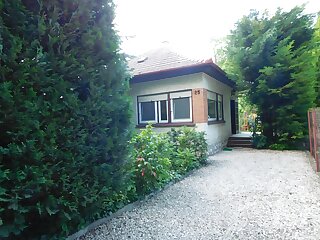 Aranyalma Vendeghaz Gardony szállás
