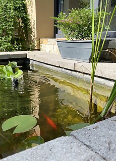 Margareta Garden Spa Eger