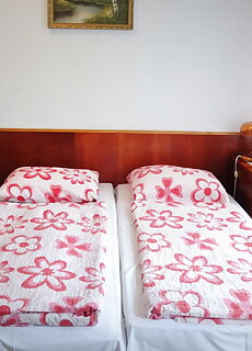 Motel Botax Eger