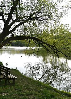 Szarvasko Nyaralo Esztergom