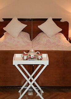 Bed And Breakfast Godollo