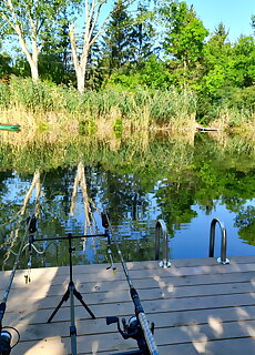 Chill House Danzug Gyomaendrod