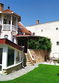 Zoli Kolcsey 19 Villa Hajduszoboszlo