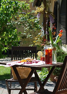 Villa Bibor Harkany