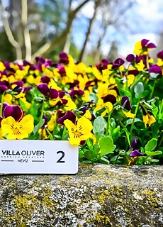 Villa Oliver 1 Heviz