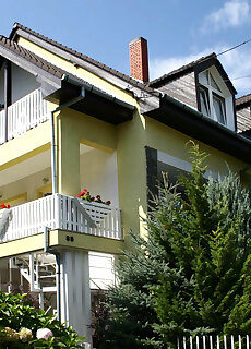 Friends Villa 2 Heviz