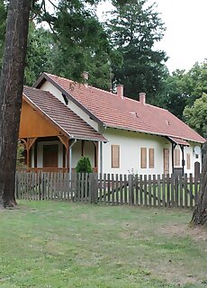 Zsigardi Erdei Es Vadasz Lak Homokkomarom