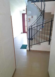 Htfsz Udulo Kehidakustany