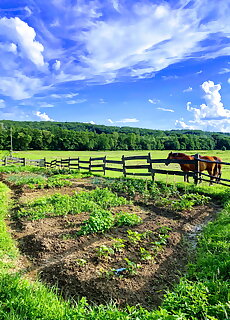 Kerca Biofarm Kercaszomor