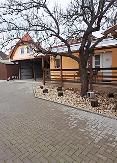 Nagymacko Kuckoja Keszthely