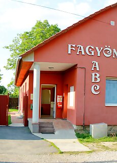 Fagyongy Szallo Kozarmisleny