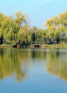 Oreg Tisza Fogado Kotelek