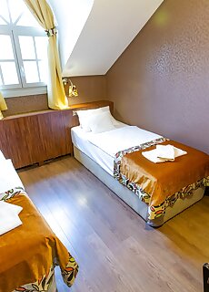 Villa Szekely Leanyfalu