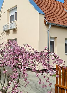 Anna Villa Lenti