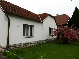 B 612 Vendeghaz Harkany szállás