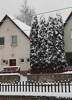 Vadasz Turista Centrum Matraszentlaszlo
