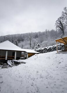 Forest Residence Miskolc
