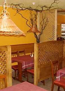 Kis Duna Motel Camping Mosonmagyarovar