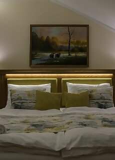 Robinia Rooms Napkor