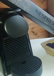 Tolgyes Menedek Noszvaj