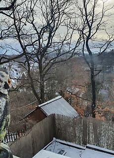 Baglyos Haz Noszvaj