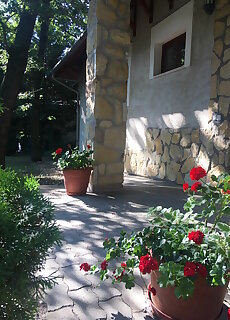 Summa Vitae Udulo Piliscsaba