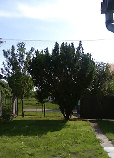 Kovacsek Haza Poroszlo