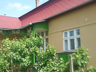 Pirike Vendeghaz Jaszapati szállás