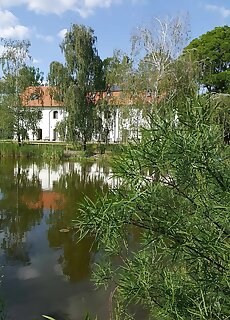 Vadkert Major Sarvar