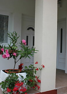 Villa Malina Siofok